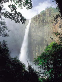 Wallaman Falls, Girringun National Park - New Castle Holiday 1