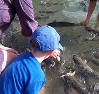 Aquascene - New Castle Holiday