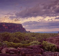 Nature's Way - New Castle Holiday