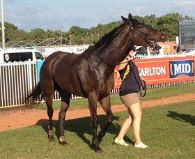 Darwin Turf Club - New Castle Holiday 2