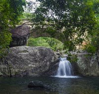 Paluma and Crystal Creek Rainforest - New Castle Holiday