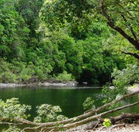 Broadwater Abergowrie State Forest - New Castle Holiday