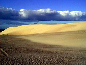 Beachport Conservation Park - New Castle Holiday 1