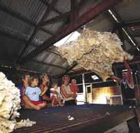 Shear Outback the Australian Shearers Hall of Fame - New Castle Holiday