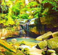 Carnarvon Gorge Carnarvon National Park - New Castle Holiday