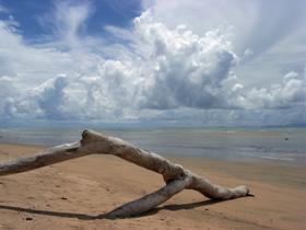 Toolakea Beach - New Castle Holiday 0