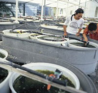 James Cook University of North Queensland - New Castle Holiday