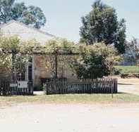 Kidman Wines - New Castle Holiday