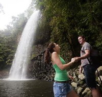Millaa Millaa Falls - New Castle Holiday