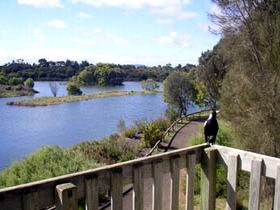 Lake McIntyre - New Castle Holiday 0