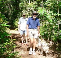 Wongabel State Forest - New Castle Holiday