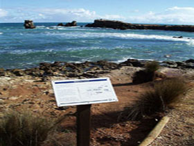 Cape Buffon Walking Trail - New Castle Holiday 0