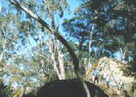 Dergholm VIC New Castle Holiday