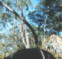 Dergholm State Park - New Castle Holiday