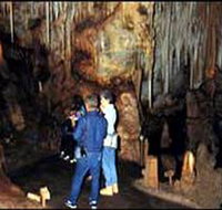 Tantanoola Caves Conservation Park - New Castle Holiday