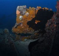 Lady Bowen Dive Site - New Castle Holiday