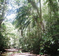 Mount Lewis National Park - New Castle Holiday
