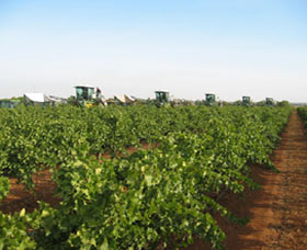 Warburn Estate - New Castle Holiday 1