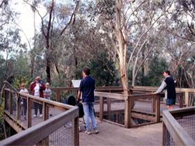 Valley Lake Conservation Park - New Castle Holiday 1