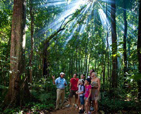 Mossman Gorge Centre - New Castle Holiday 3