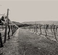 Halls Gap Estate - New Castle Holiday