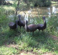 East Tolans Farm Tour - New Castle Holiday