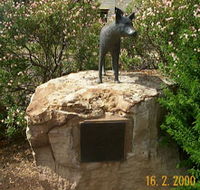 Dingo Statue - New Castle Holiday