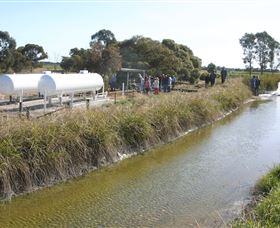 Cornalla Farm Tour - New Castle Holiday 0