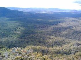 Mia Mia State Forest - New Castle Holiday 1