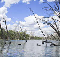 Murrumbidgee Valley National Park - New Castle Holiday
