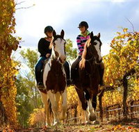 Billabong Ranch