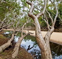 Oyala Thumotang National Park CYPAL - New Castle Holiday
