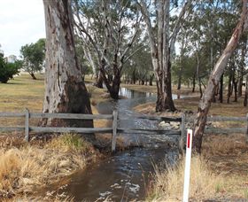 Mackereth's Hedon Farm - New Castle Holiday 2