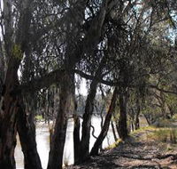 Mia Forest Drives Narrandera - New Castle Holiday