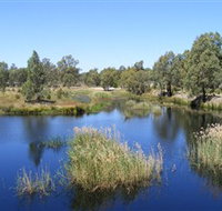 Narrandera Wetlands - New Castle Holiday