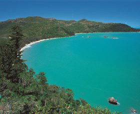 Hibiscus Coast - New Castle Holiday 2