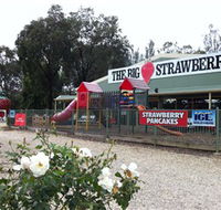 The Big Strawberry - New Castle Holiday