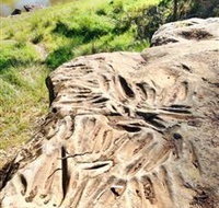 Terramungamine Rock Grooves - New Castle Holiday