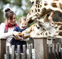 Taronga Western Plains Zoo Dubbo - New Castle Holiday