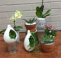 Cobram Florist - New Castle Holiday