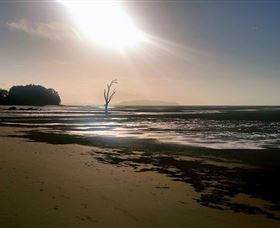 Shoal Point - New Castle Holiday 1