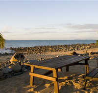 Dolphin Heads - New Castle Holiday