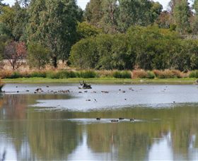 Tatura East ACT New Castle Holiday