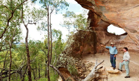 Pilliga National Park - New Castle Holiday 0