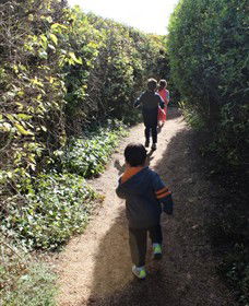 The Tangled Maze & Mistydowns Nursery - New Castle Holiday 0