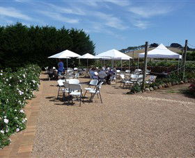 The Tangled Maze & Mistydowns Nursery - New Castle Holiday 6