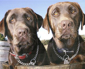 Ellender Estate - New Castle Holiday 7