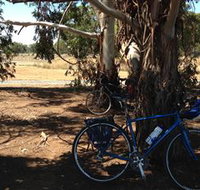 Murchison Rail Trail - New Castle Holiday