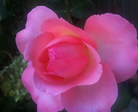 Abandon Stress Mobile Massage - New Castle Holiday 2