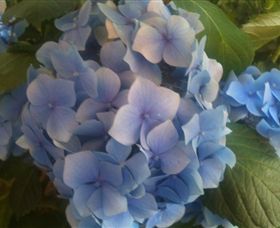 Abandon Stress Mobile Massage - New Castle Holiday 3